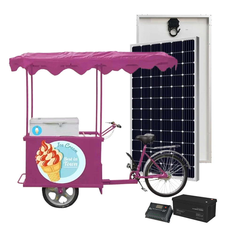 

Cheap Price 108L Vending Tricycle Solar Powered Freezer Business Bike Ice Cream Cart Bicycle 12/24V Ice Cream Freezer From China
