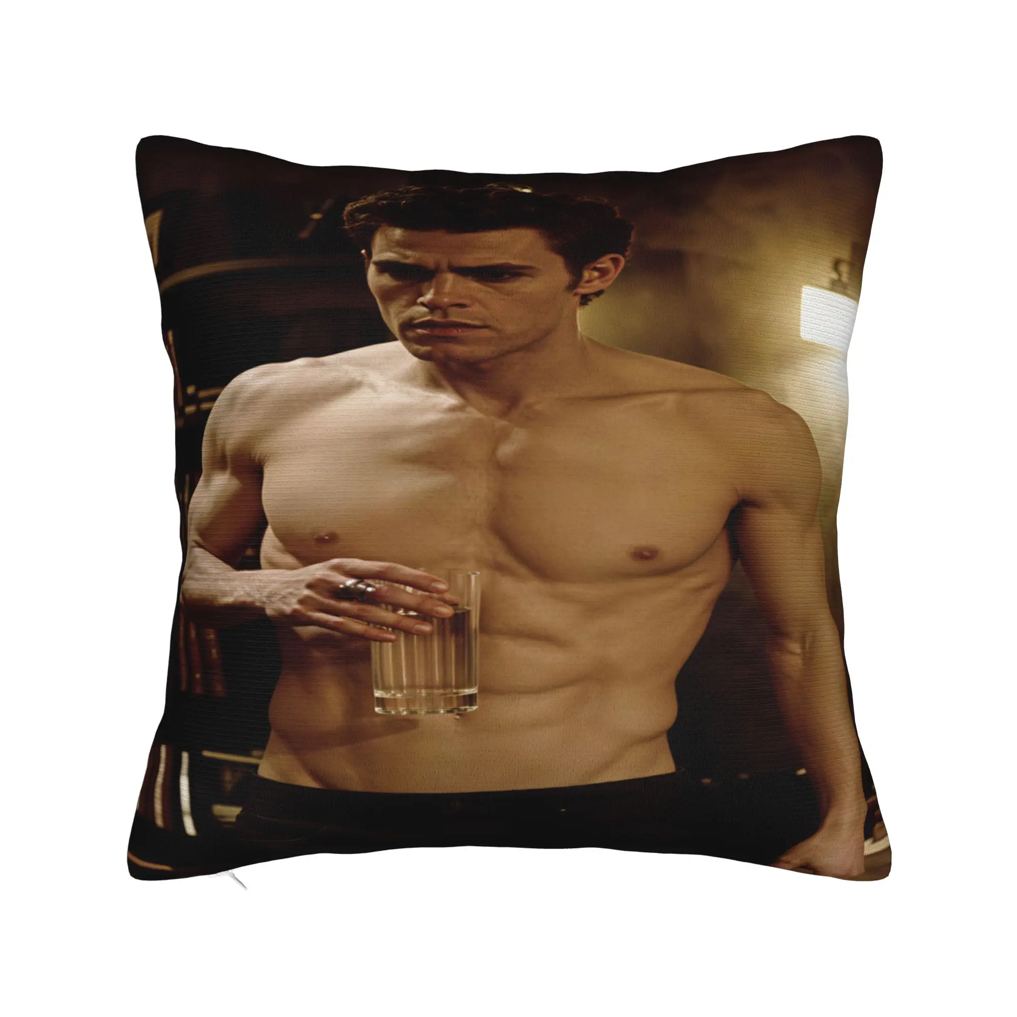 Vampire Diaries Damon Klaus  Pillowcases  Morden Pillow Case For Couch Sofa Bedroom Comfy Pillow Cover