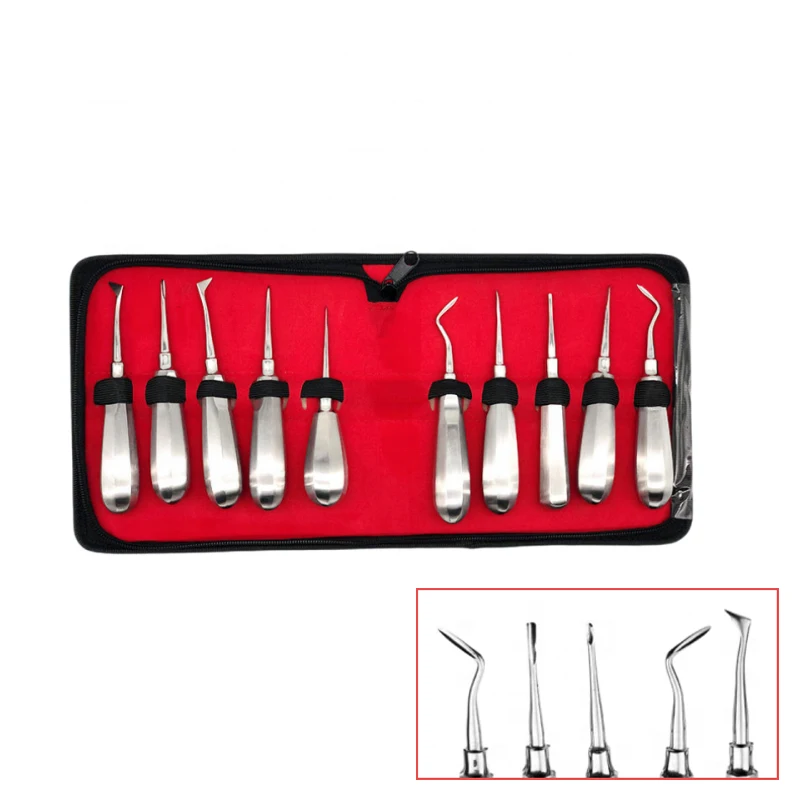 Electric Low Price 10-Piece Dental Root Elevator Set Surgical Instruments for Tooth Extraction & Root Elevation