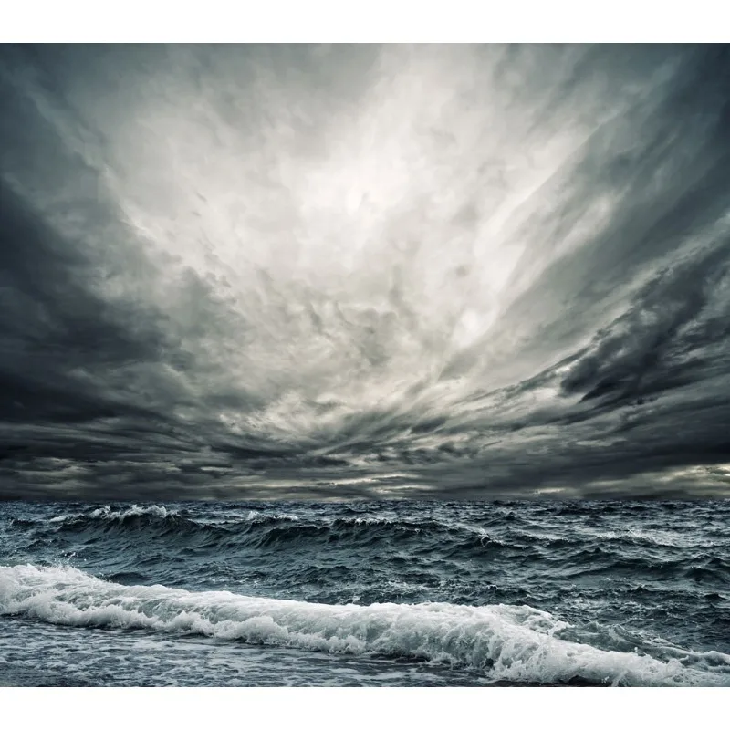 Tiy 25Pcs Bov Blow …