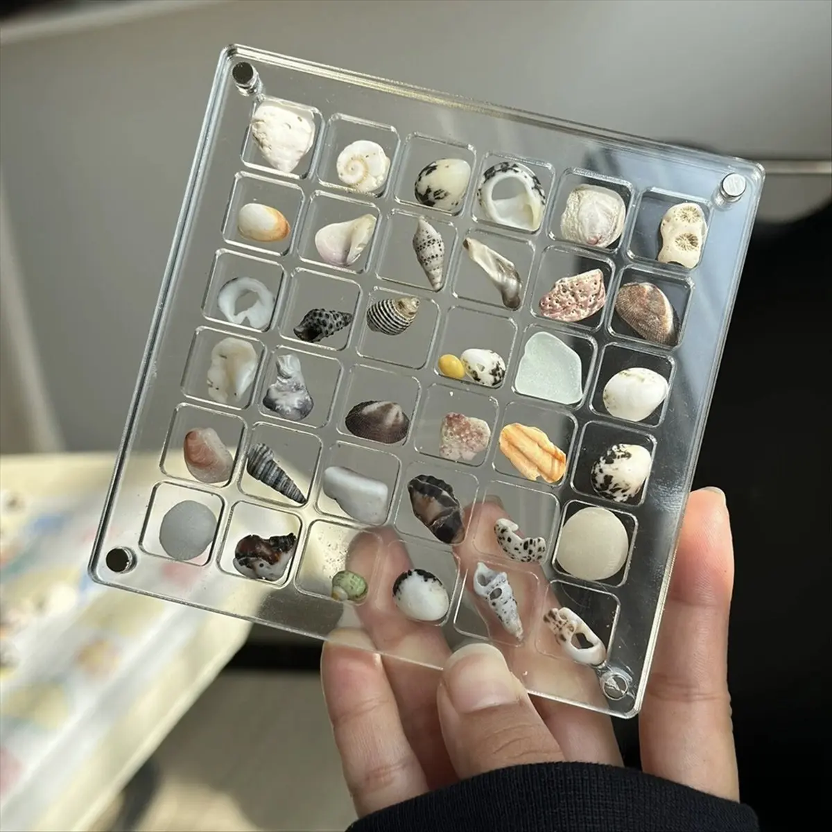 [Greatitem]2PCS 36Grids Acrylic Clear Magnetic Seashell Display Box, Gemstone Beads Storage Display Organizer Box