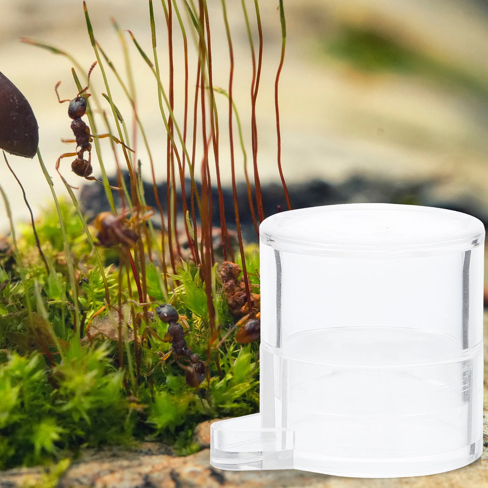 

2pcs Acrylic Ant Water Feeding Bowl Transparent Insect Drinking Basin Durable Pet Ants Supplies Small Size Garden Tool