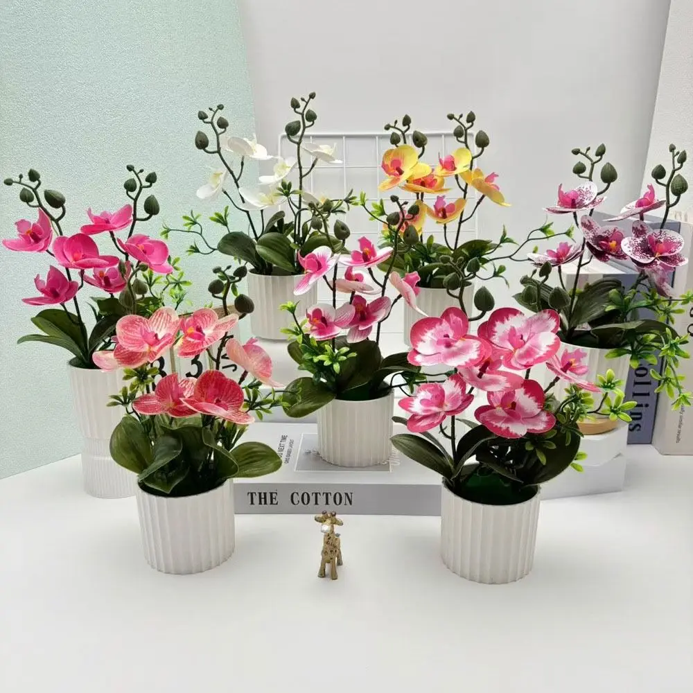 

Multicolor Moth Orchid Artificial Flower Plastic Accessories Simulation Bonsai Green Leaves White Flowerpot