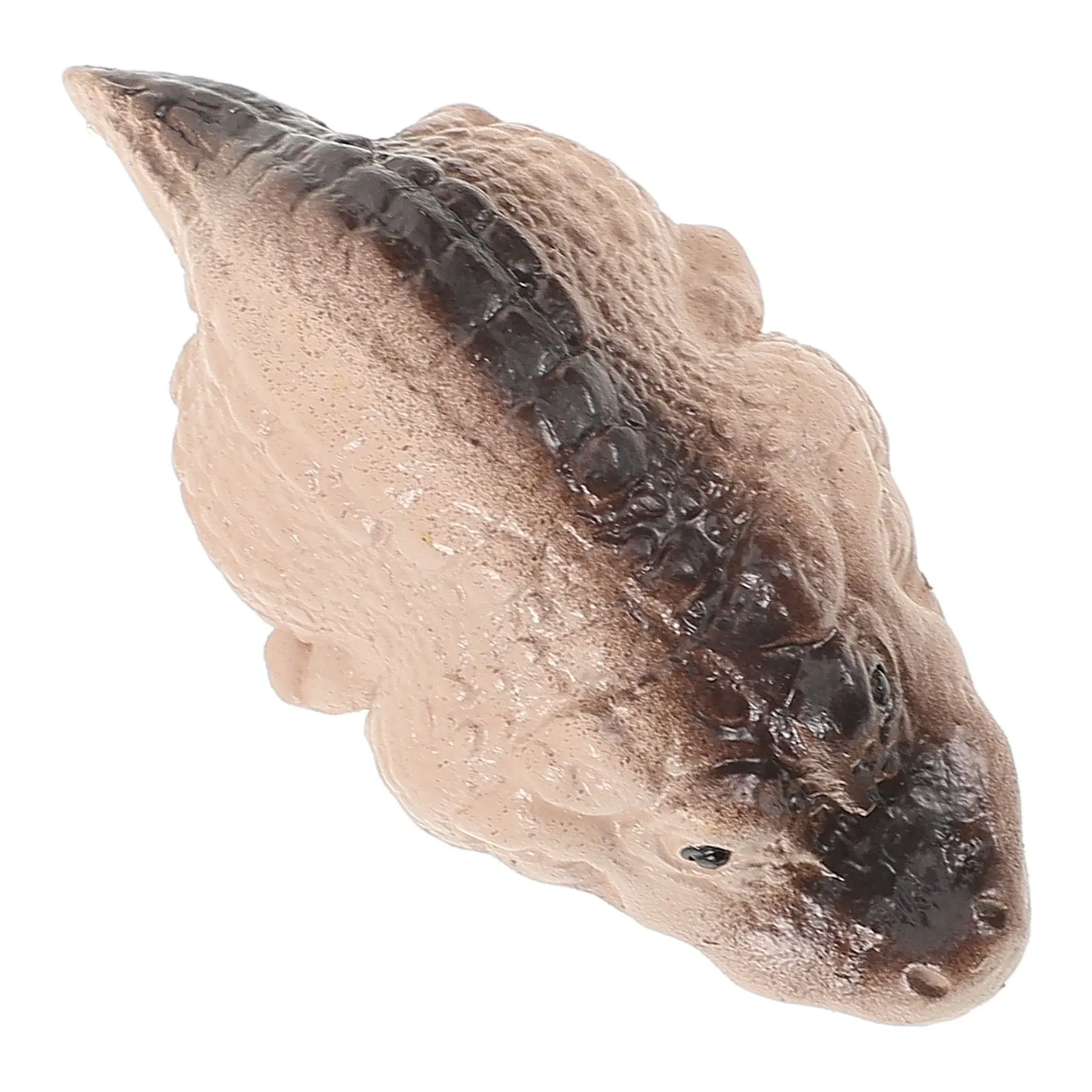 

Mini Crocodile Ornament Durable Easy Statue Resin Material Home Garden Decor Whimsical Interior Highlight