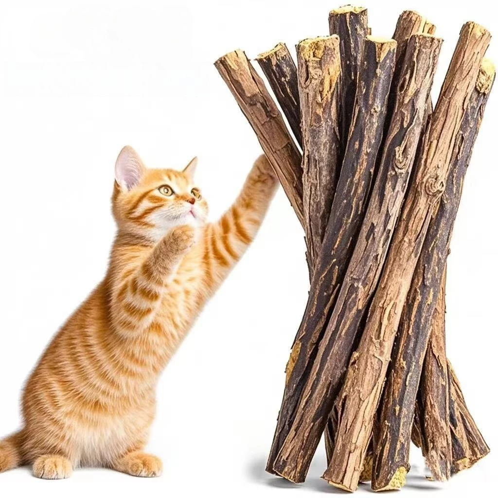 Kitten Supplies Nat…