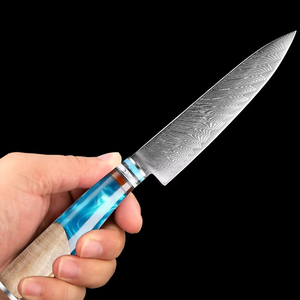 Multifunctional Small Kitchen Knife 5 Inch Utility Knife Damascus Steel Japanese 67 Layers Kitchen Vegetable Fruit Cutting Sharp