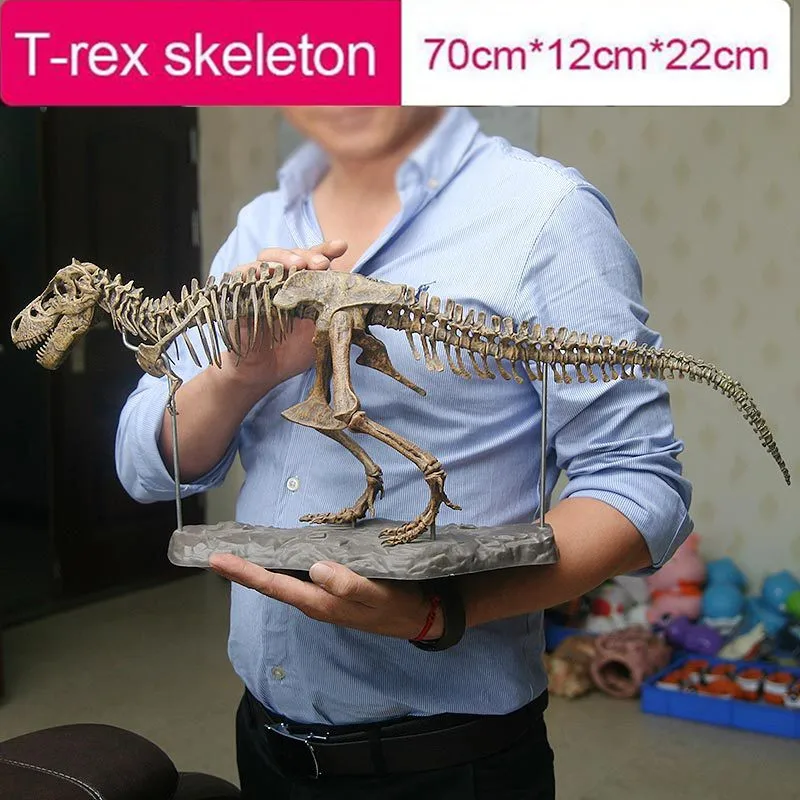 

Large Dinosaur Skeleton Ornament Simulation Skeleton Model Jurassic Assembled Skeleton Fossilized Dragon Tyrannosaurus Rex