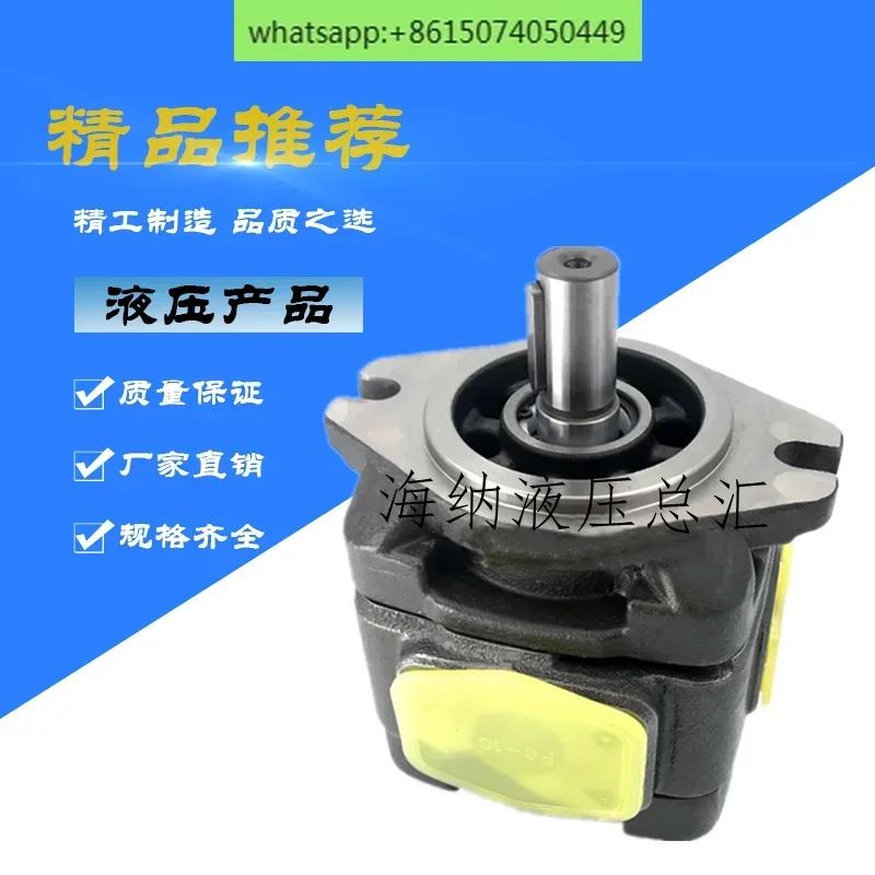 Hytek HG1/2/0-125/32/40/50/63/160-01R-VPC Servo Gear Oil Pump for Molding Machine