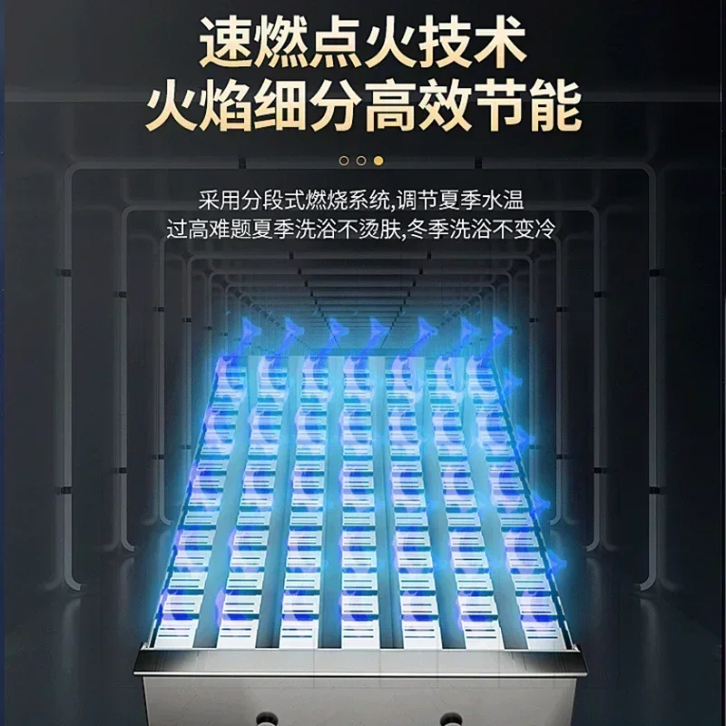 屋外の強力な排気ガス給湯器,家庭用バス用の一定温度,天然ガスおよび液体ガス,12v