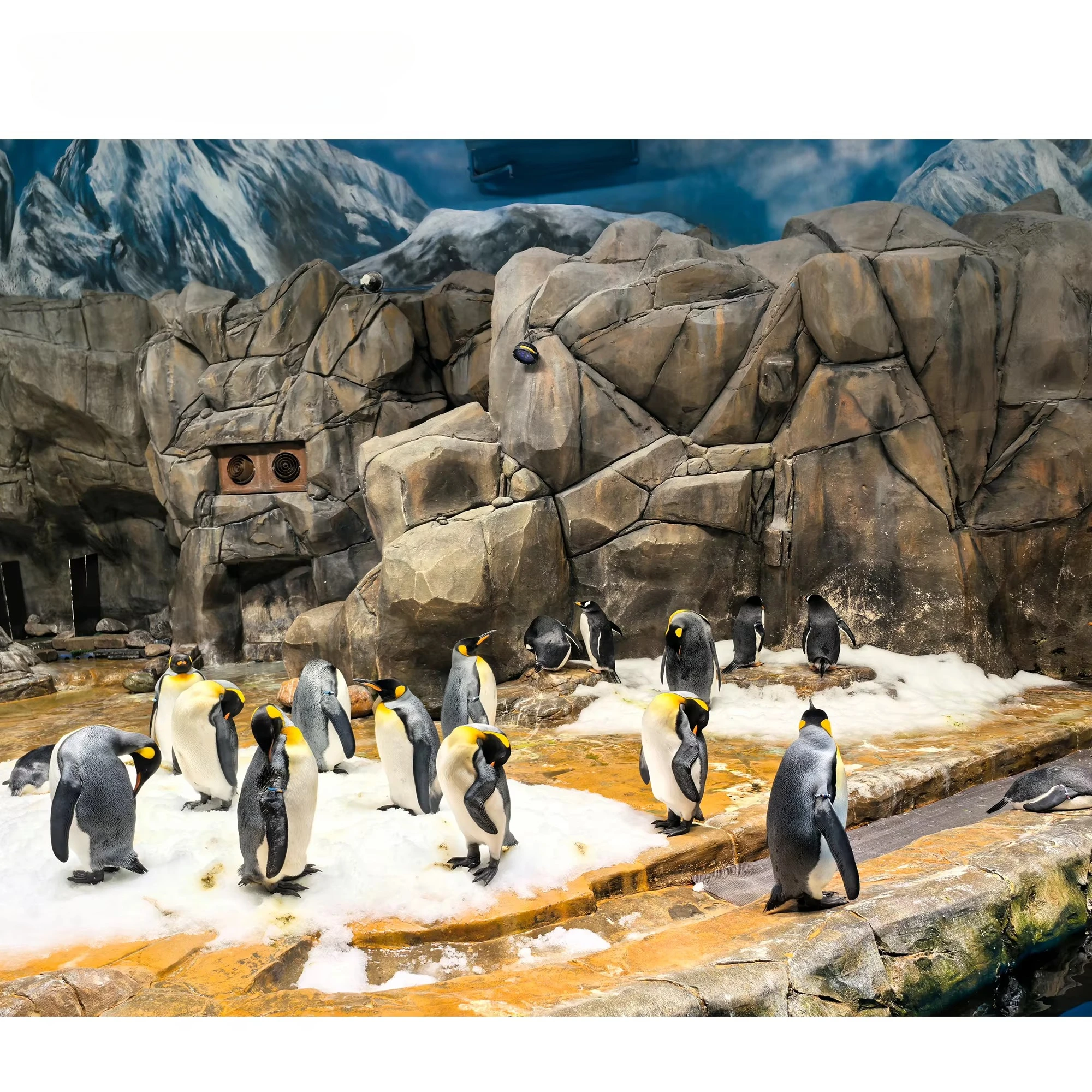 Indoor Outdoor Real Snow Snowfall Machine Large Ski Resort Generator Cannon Fan Equipment Shed view 6