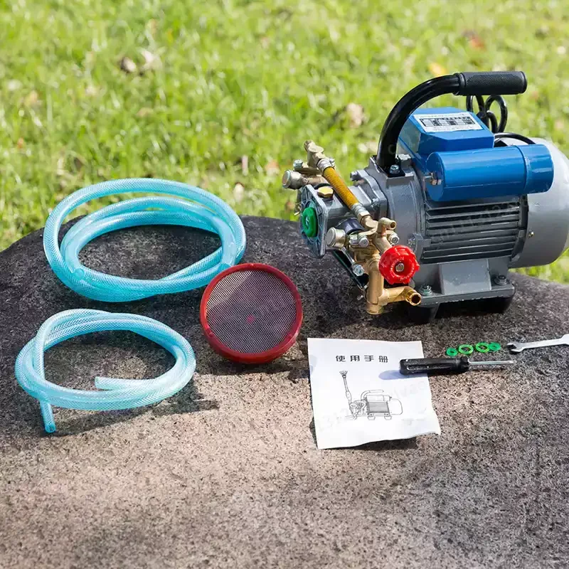 Small Electric Plunger Pump High Pressure Sprayer for Home Garden & Fruit Trees