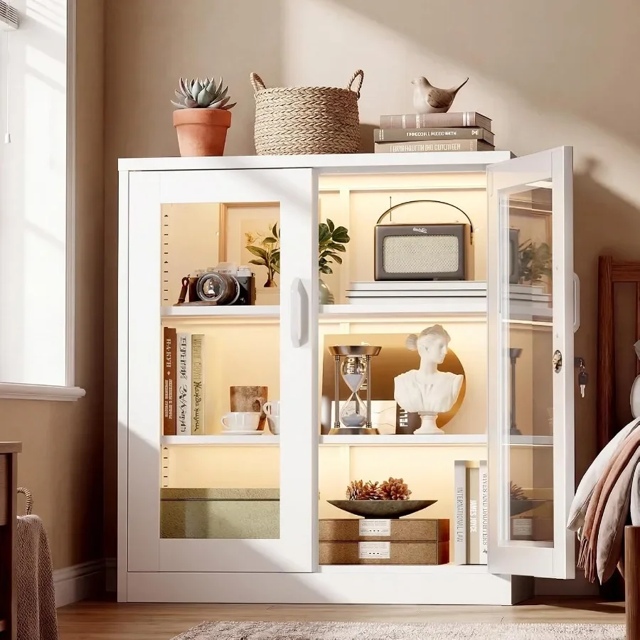 Lockable Display Cabinet for home office living room pantry garage, metal, black, with 3 adjustable shelves and secure locking