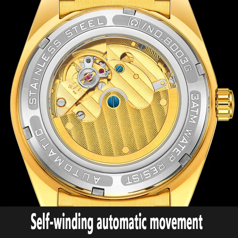 Carnival Brand Luxury Gold Mechanical Watch for Men Stainless Steel Waterproof Luminous Fashion Diamond Watch Relogio Masculino