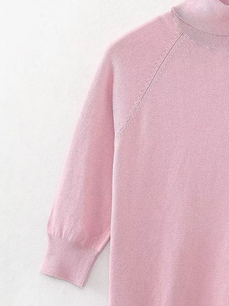 Withered 2024 Fashion Simple Autumn British Turtleneck Sweater Basic Short Top Sweater For Women