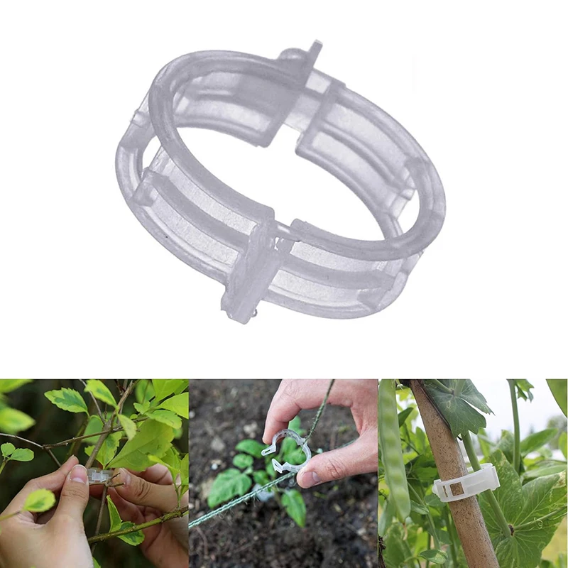 Clips de plantes en plastique pour plantes grimpantes, Fiosphréinitialisation transparent, Treillis de tomate, Clips de support de plantes, Fiosphréinitialisation de vigne, 100 pièces