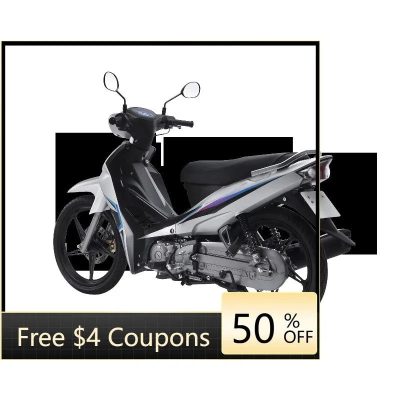 Rs Manufacturer High Speed Cheap Adult Electric Motorcycle 1000w for Sale