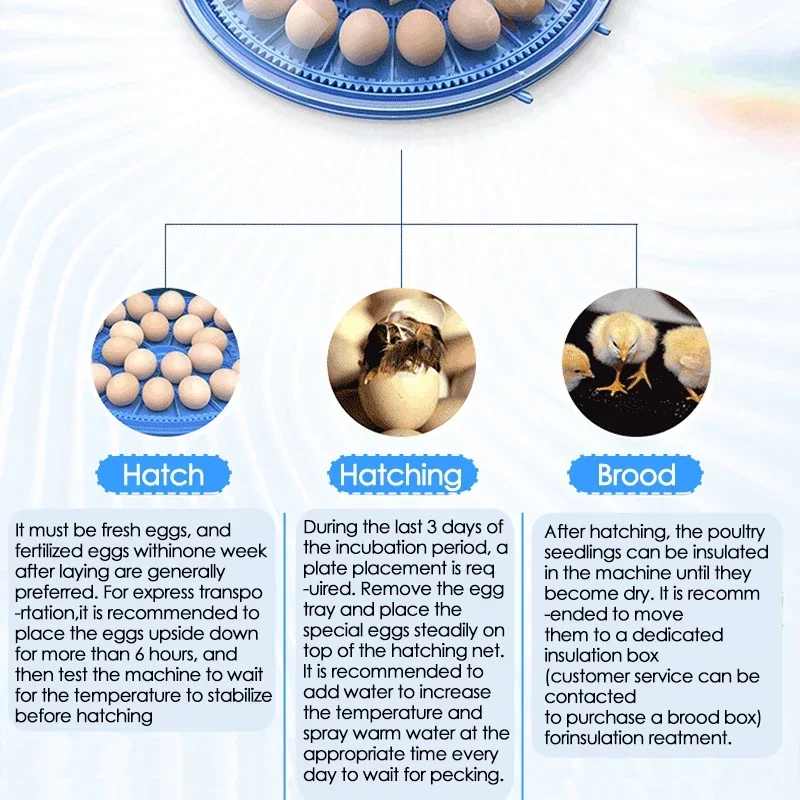 Intelligent Full Automatic Egg Turning Poultry Incubator Household Mini 8 Eggs Chicken Goose Quail Birds Brooder Hatchery