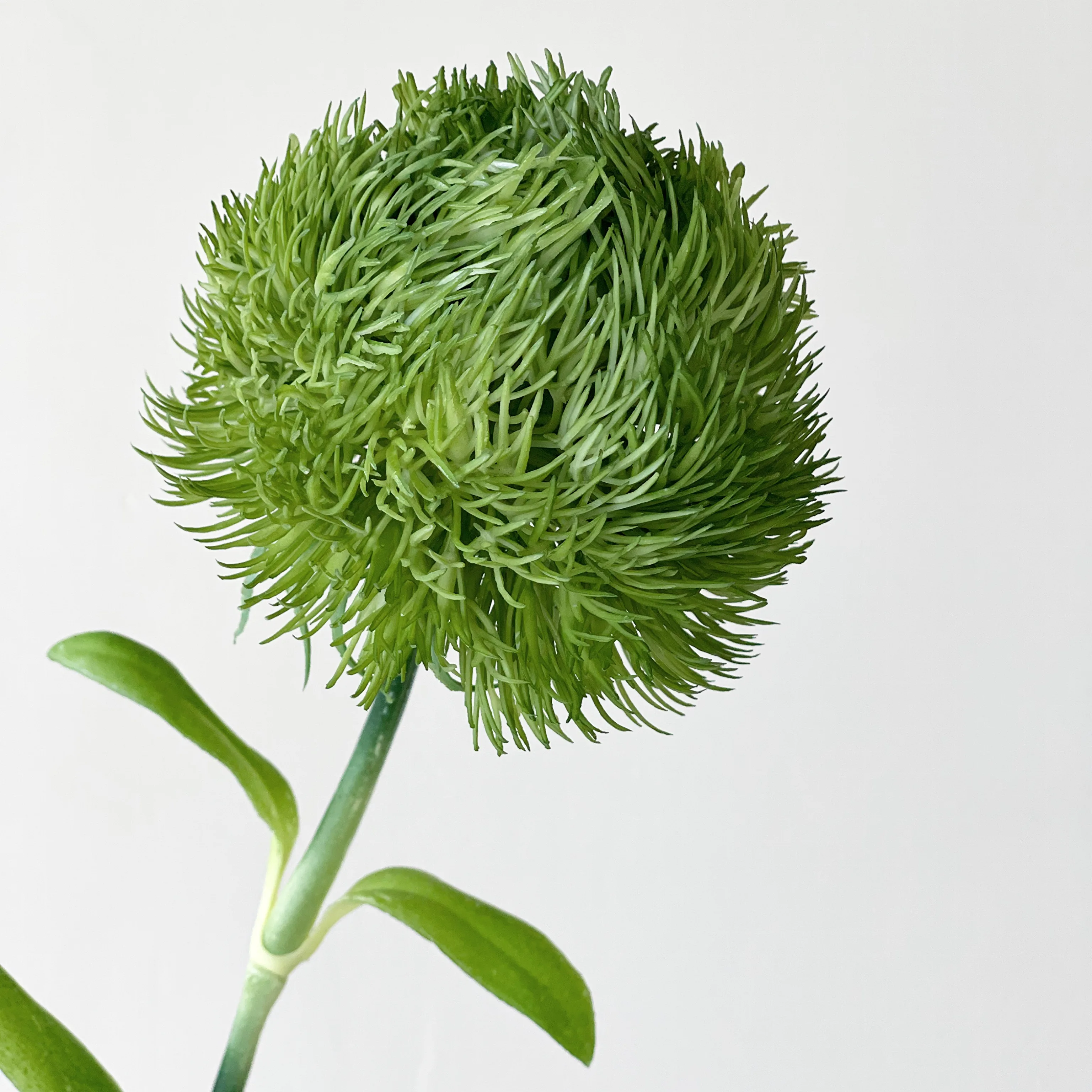 Green Dianthus Artificial Plants Plastic Greenery Green Ball Dianthus Decoration Home Interior Greenery