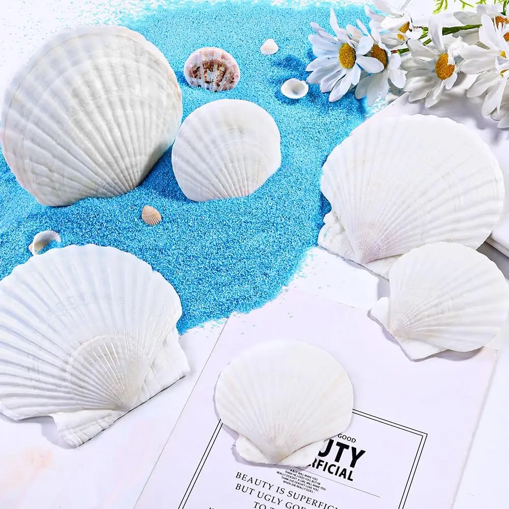 18PCS Natural Scallop Shells, Suitable for Handmade DIY Painting, Baking, Beach Weddings and Home Decoration (Two Size Ranges)