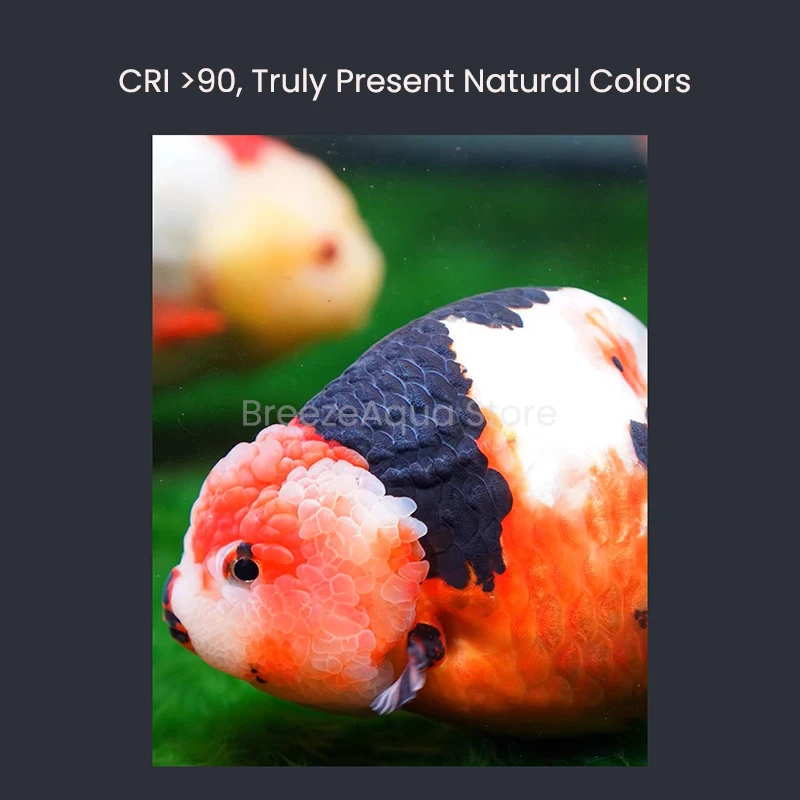 MAYIN Super Colour 100W Freshwater Goldfish Algae Bloom Planted