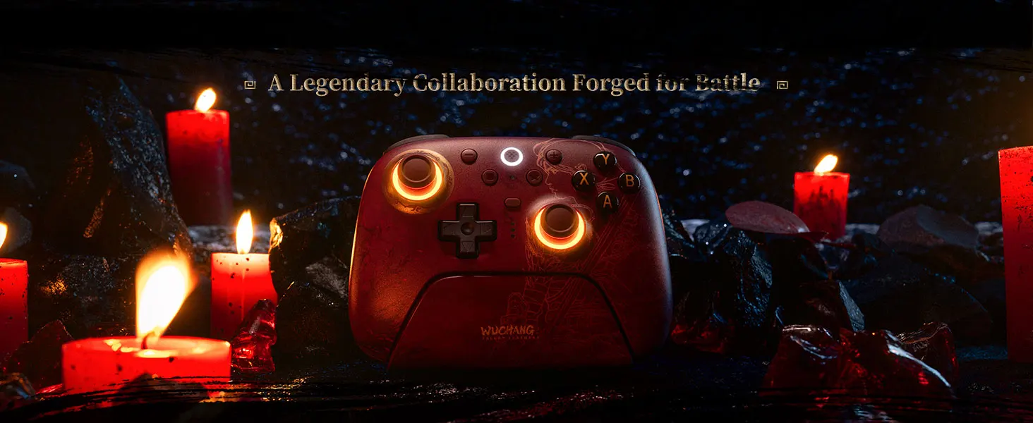 8BitDo Ultimate 2 Wireless Controller WUCHANG: Fallen Feathers für Windows und Android, mit TMR-Joysticks, 8Speed Tech Gamepad – Detail 2