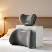 Juego de 2 Almohadas Ergonómicas de Soporte Lumbar y Cervical para Asiento de Coche, 2 en 1, de Esponja y Goma, con Respaldo Ajustable