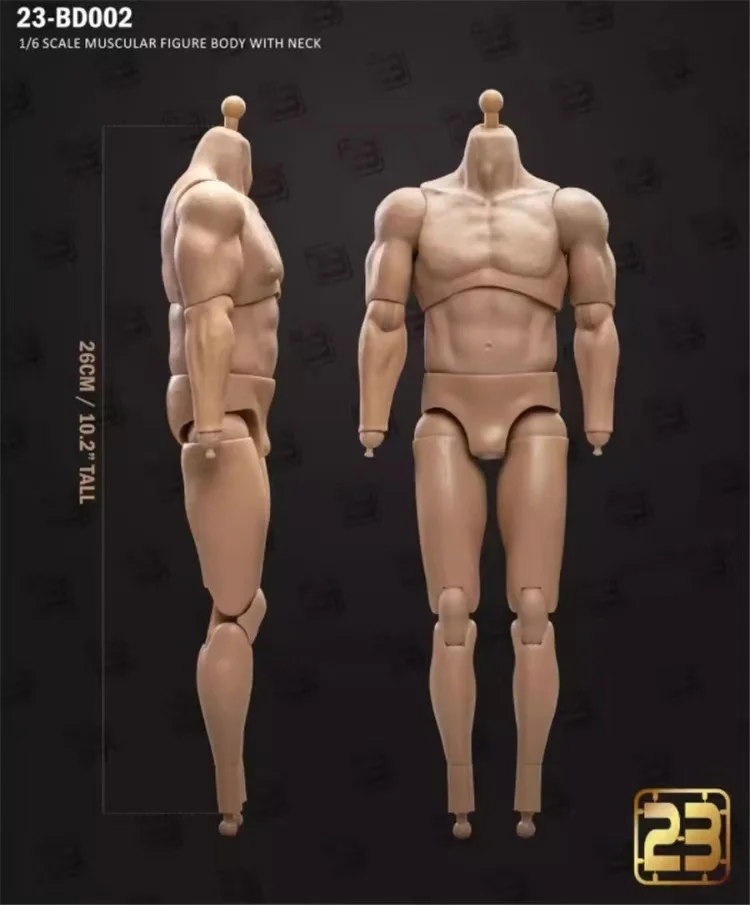 23TOYS 1/6 23-BD001/003/004/005/006/002 1/6 Scale Male Soldier Standard Strong Muscle Joint Articulate Body 12" Action Figure