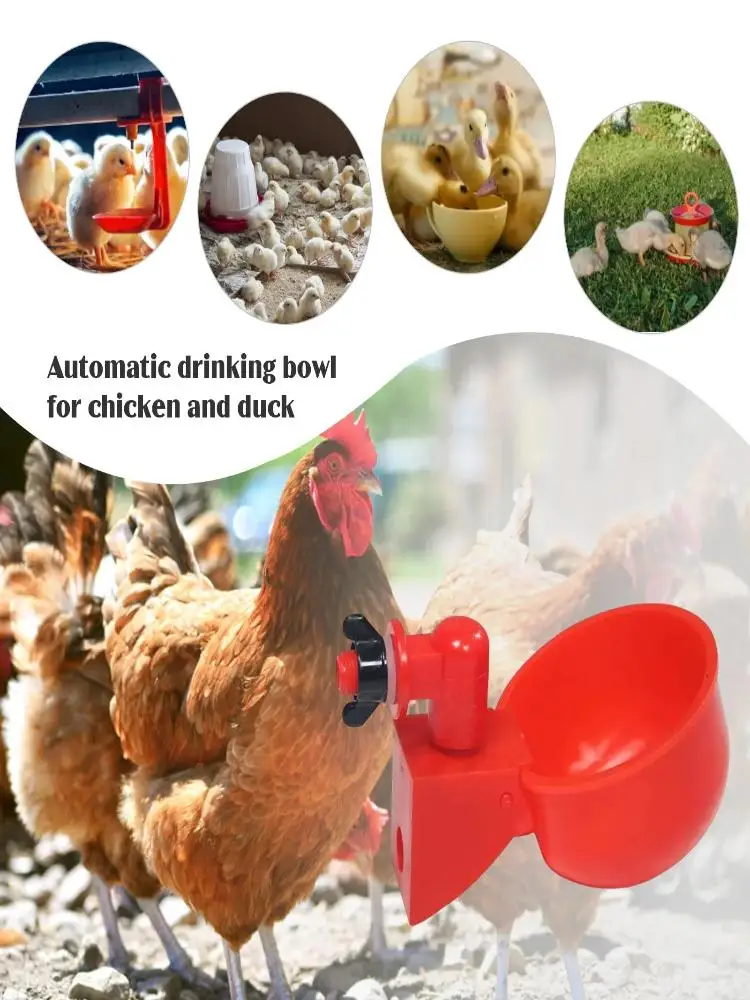 * 10/20Pcs Chicken Duck Drinking Cup Automatic Drinker Chicken Feeder Plastic Poultry Farm Water Drinking Cups Easy Installation view 4