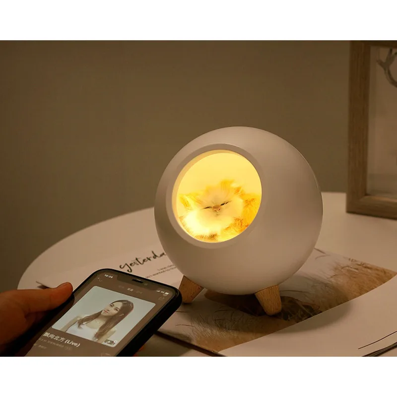 Casa para mascotas, Bluetooth, recargable, dormitorio, mesita de noche, lactancia, gato creativo, atmósfera de escritorio, luz nocturna