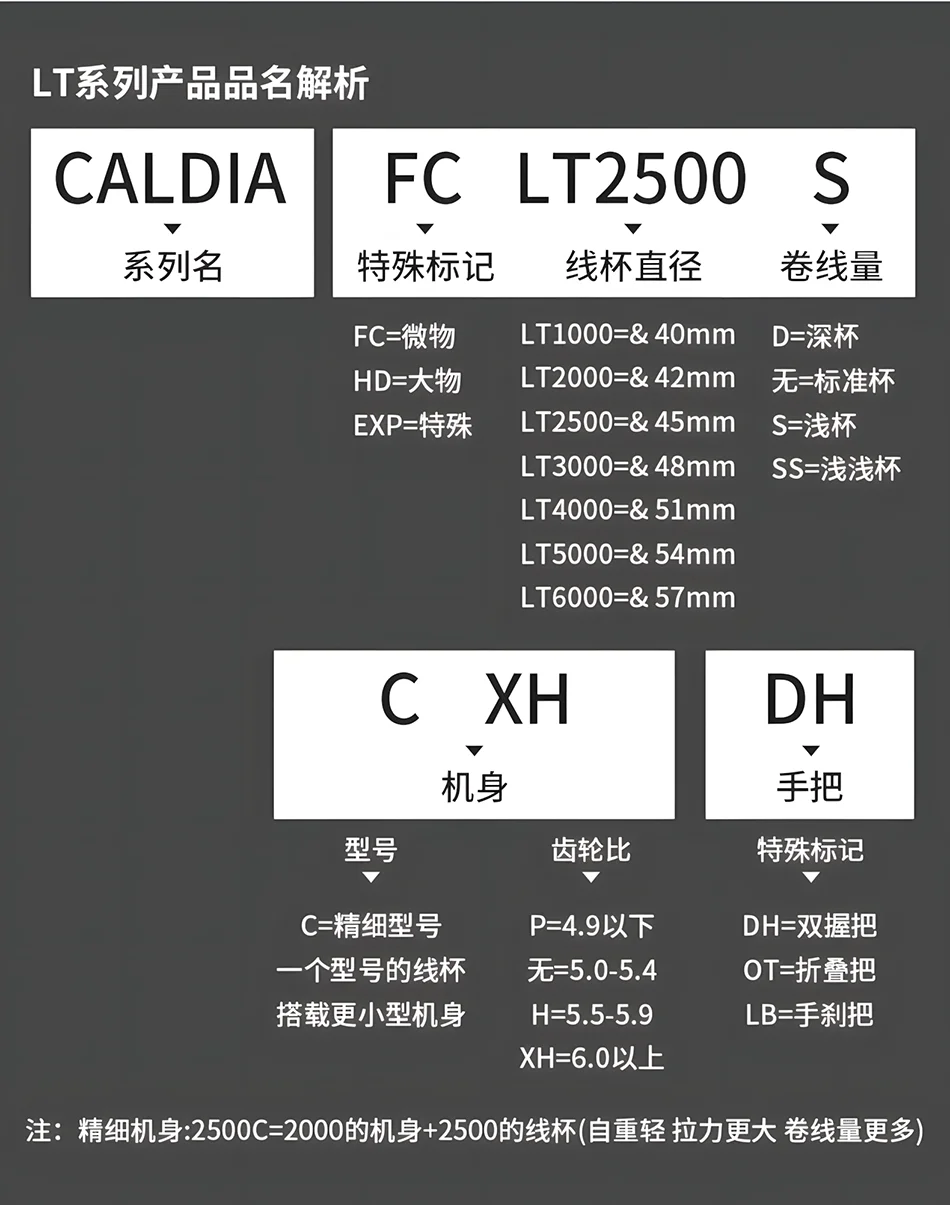 2025 DAIWA CALDIA LT Spinn-Angelrolle, 6 + 1BB, Zugkraft 5–12 kg, vorgeladendes Spinn-Salzwasserrad – Detail 4