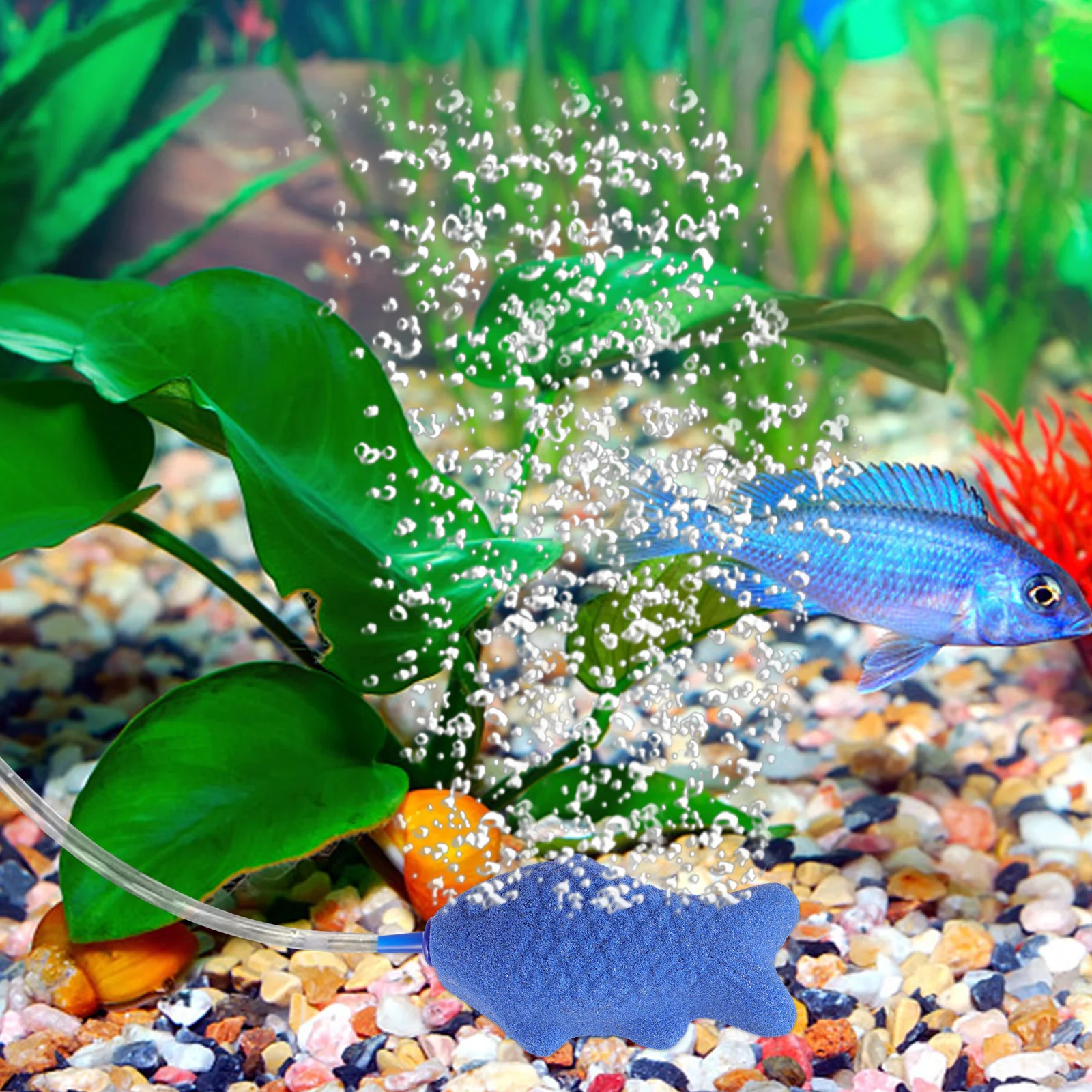 

Fish Tank Bubble Stone Air Stone Aquarium Aerator for Oxygenation Hydroponic Fish Tanks Freshwater Saltwater Aquarium