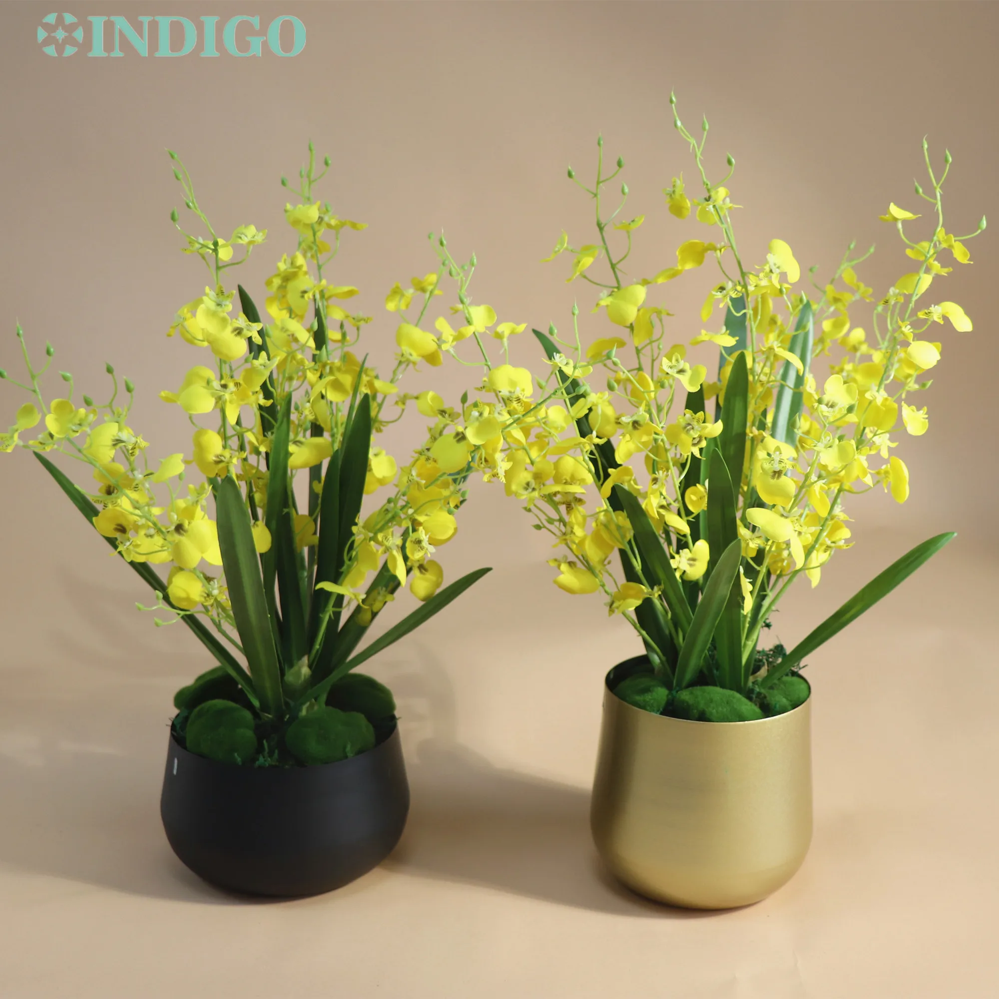 

INDIGO-Dancing Lady Orchid Flower Office Decoration,DIY Flower Arrangment,3Pcs Orchid + Leaves + Moss+ Vase,Yellow Centerpiece