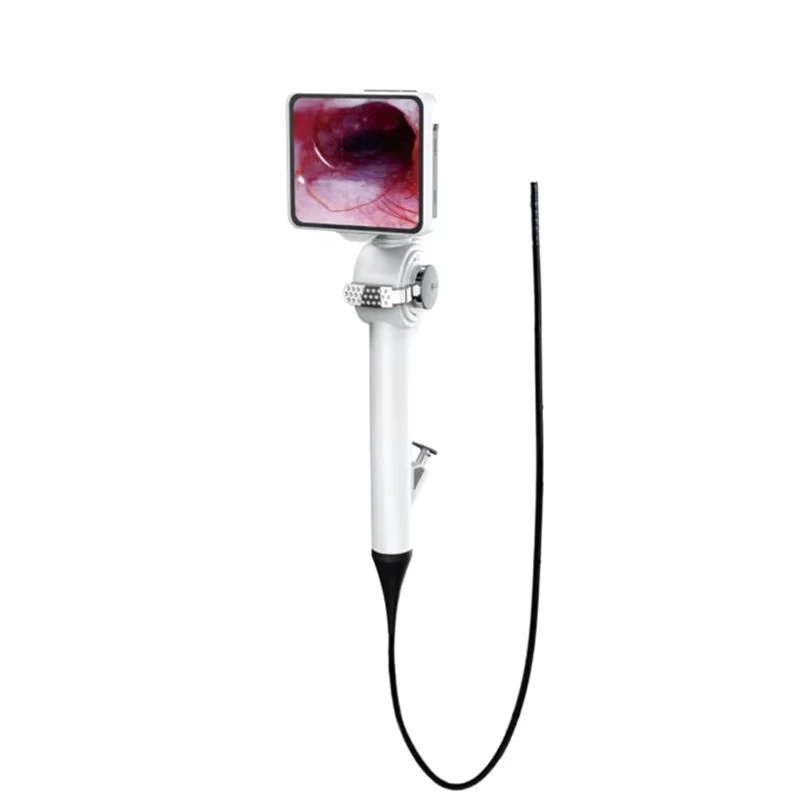 SY-P029-3 Hot Sale Flexible ENT Endoscope Veterinary Urology Single Use and Reusable Ureteroscopy Endoscope