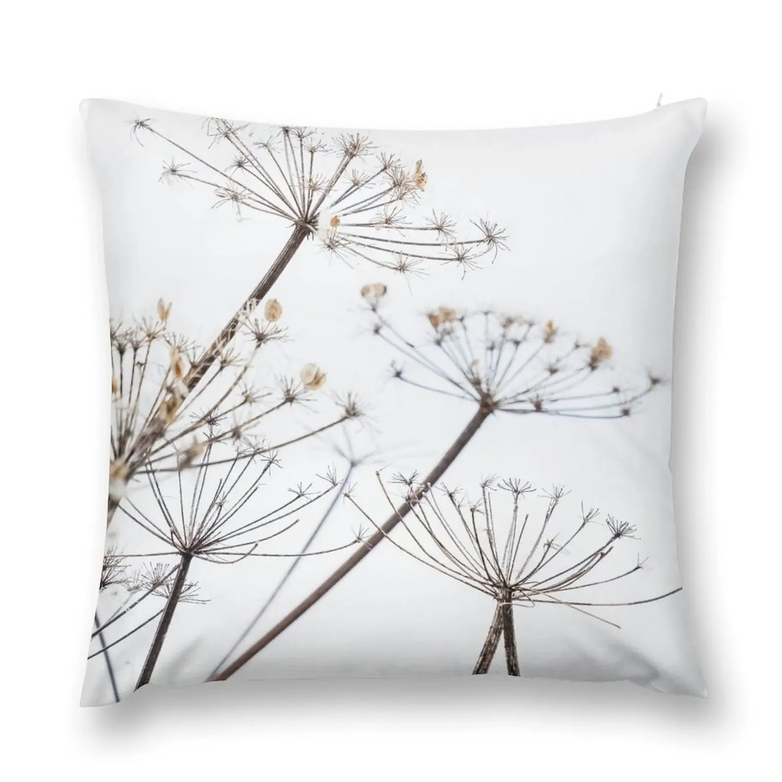 Dried Cow Parsley Seed Heads Throw Pillow Pillow Decor Sofa Cover Throw Pillow Covers