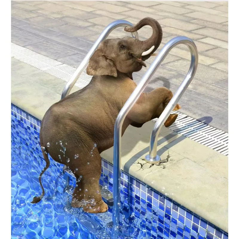 

Xiaobe Factory Wholesale Cheap Price Stainless Steel 2-Step Embedded Swimming Pool Ladder