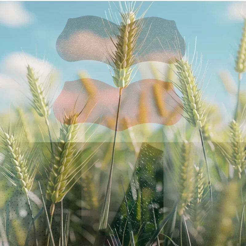 10/20/50 szt. Pasków na zaskórniki do usuwania zaskórników, skuteczne w usuwaniu pryszczy, mocna adsorpcja, usuwanie roztoczy, głębokie oczyszczanie, zwężanie pór, wygładzanie skóry, maska do pielęgnacji skóry