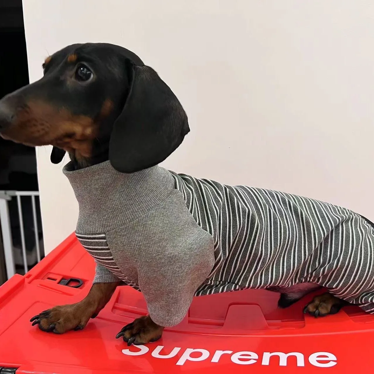 Warm Fleece Elastic Sweatshirt for Dachshund Soft 4-legged High-Neck Spring Coat for Wiener Dog Warm Outdoor Wiener Dog Clothes