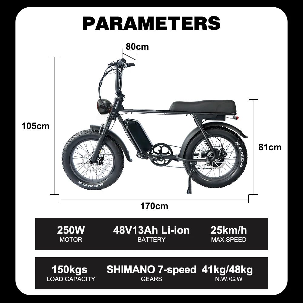 

Gravel Electric Bike 750w 20inch Fat Tire E-bike 250w 25km/h Ebike Electric Bicycle
