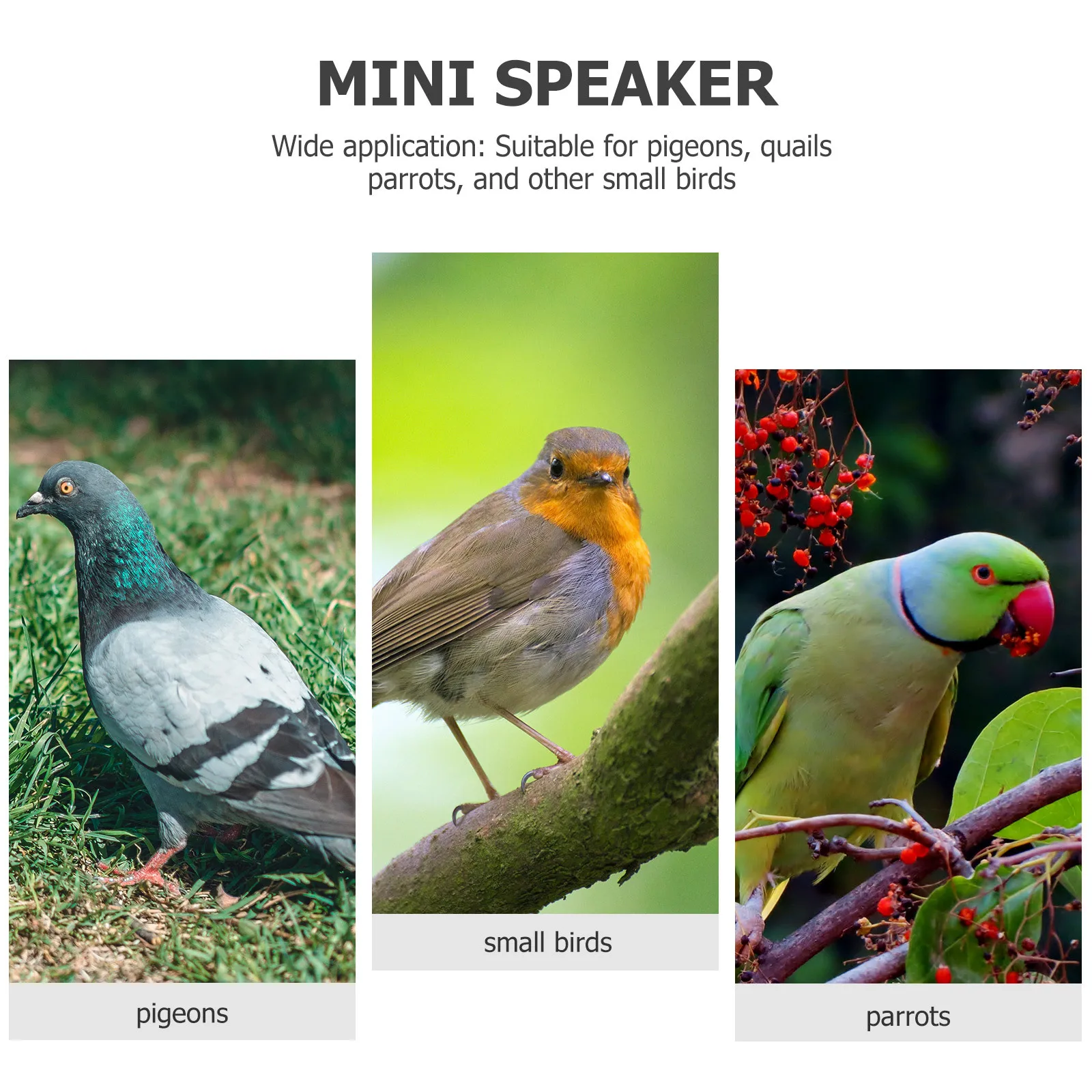 2Pcs Plastic Bird N… - image