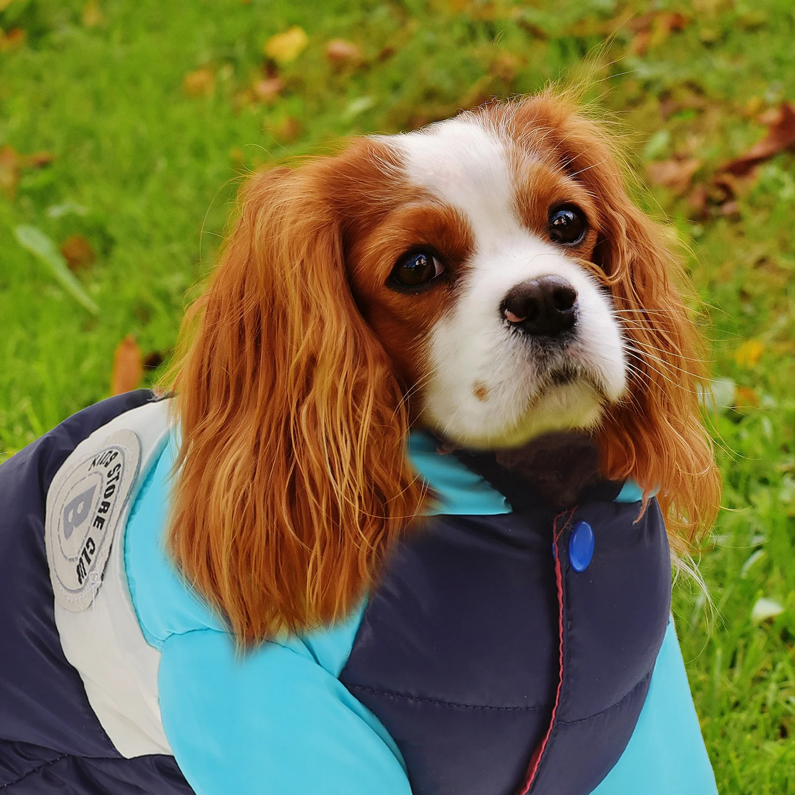 

Dog Warm Vest Cotton Puppy Costume Stylish Pet Outfit Comfortable Winter Dog Clothes Soft Warm Pet Supplies Puppy Costume