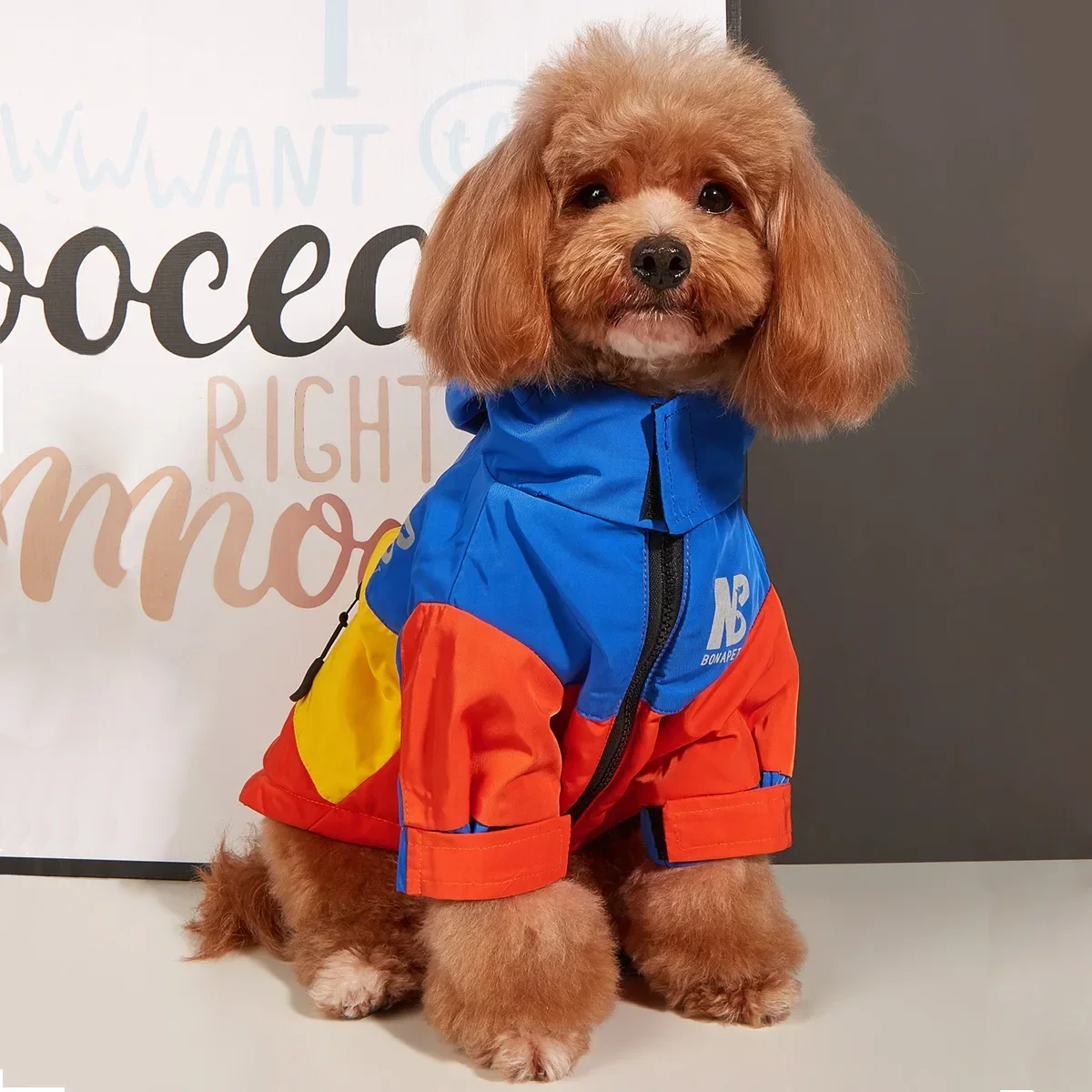 New Pet Dog Clothes for Small Large Dogs Jacket Windbreaker for Puppy Autumn Winter Waterproof Warm Raincoat Teddy Clothing