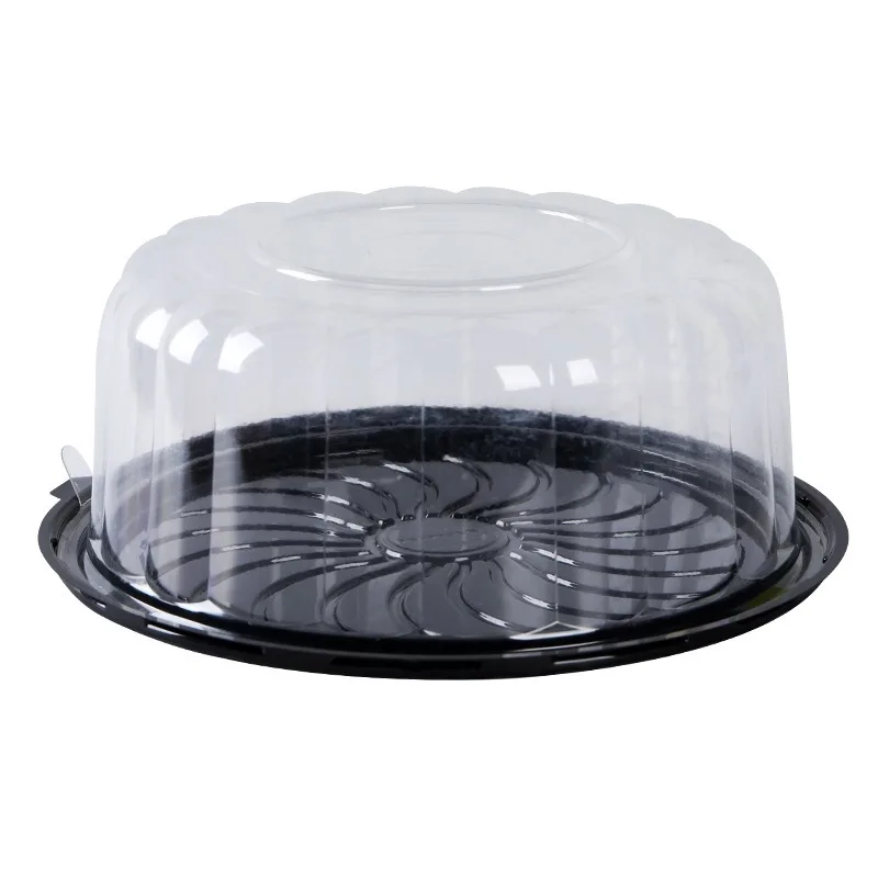 Single layer transparent PET cake box Round birthday cake box