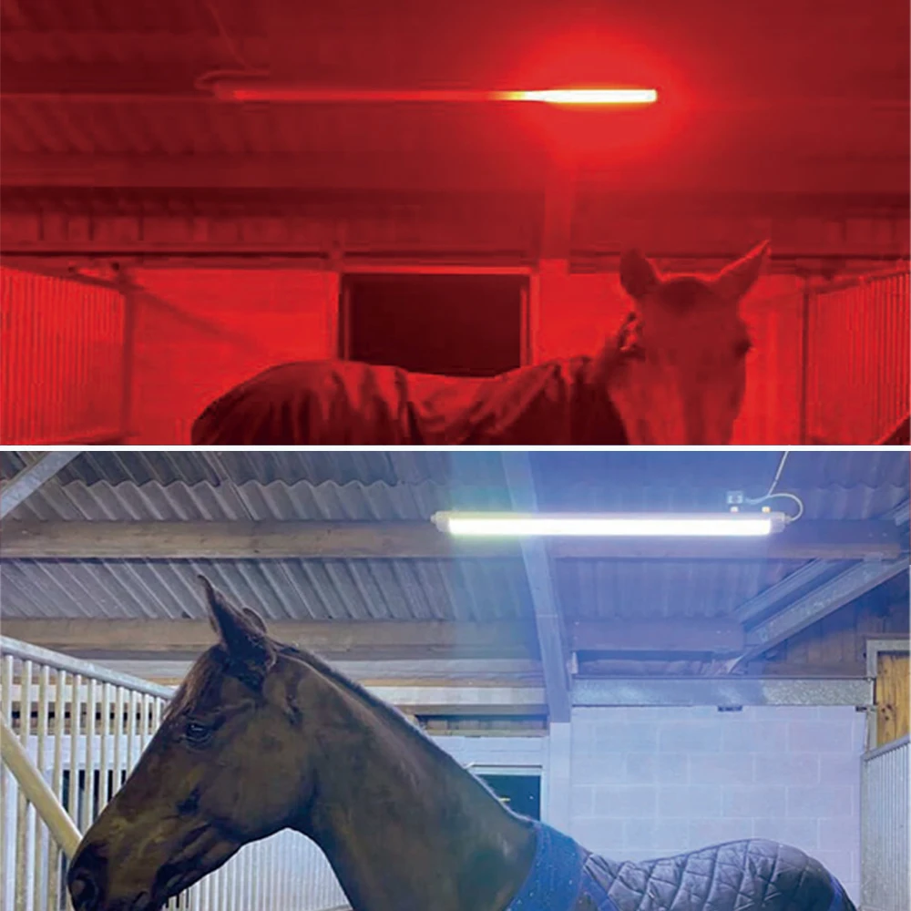 

Custom 100W 150W 200W Equine Led Therapy Light Red Infrared 660nm 850nm Solarium Animal Therapy LED Light 5 Years Warranty