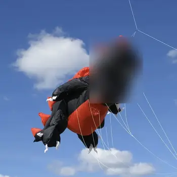 9公里5米龍形風箏線洗衣吊墜軟充氣表演風箏,適用於風箏節,30D防撕裂尼龍布料(接受批發) 10 最佳銷售 龍風箏 - №8