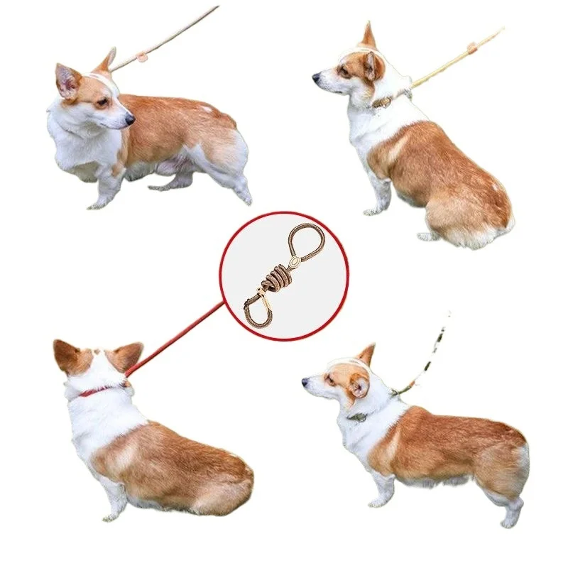 New Heavy Duty Dog Leash Slip Rope Lead Adjustable Braided Loop Collar Training Leash for Small to Medium Dogs