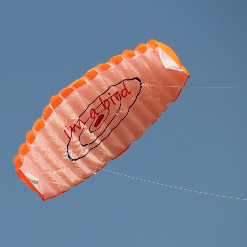 Cometa Parafoil de doble línea, alta calidad, trenza eléctrica, vela, kitesurf, profesional, grande, 1,4 m, con 2 asas para diversión en la playa y al aire libre