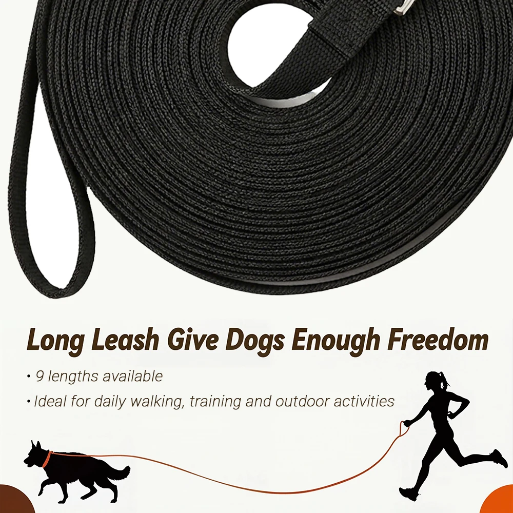 Thumbnail 4 - #14 Budget Puppy Leads for Smart Shoppers