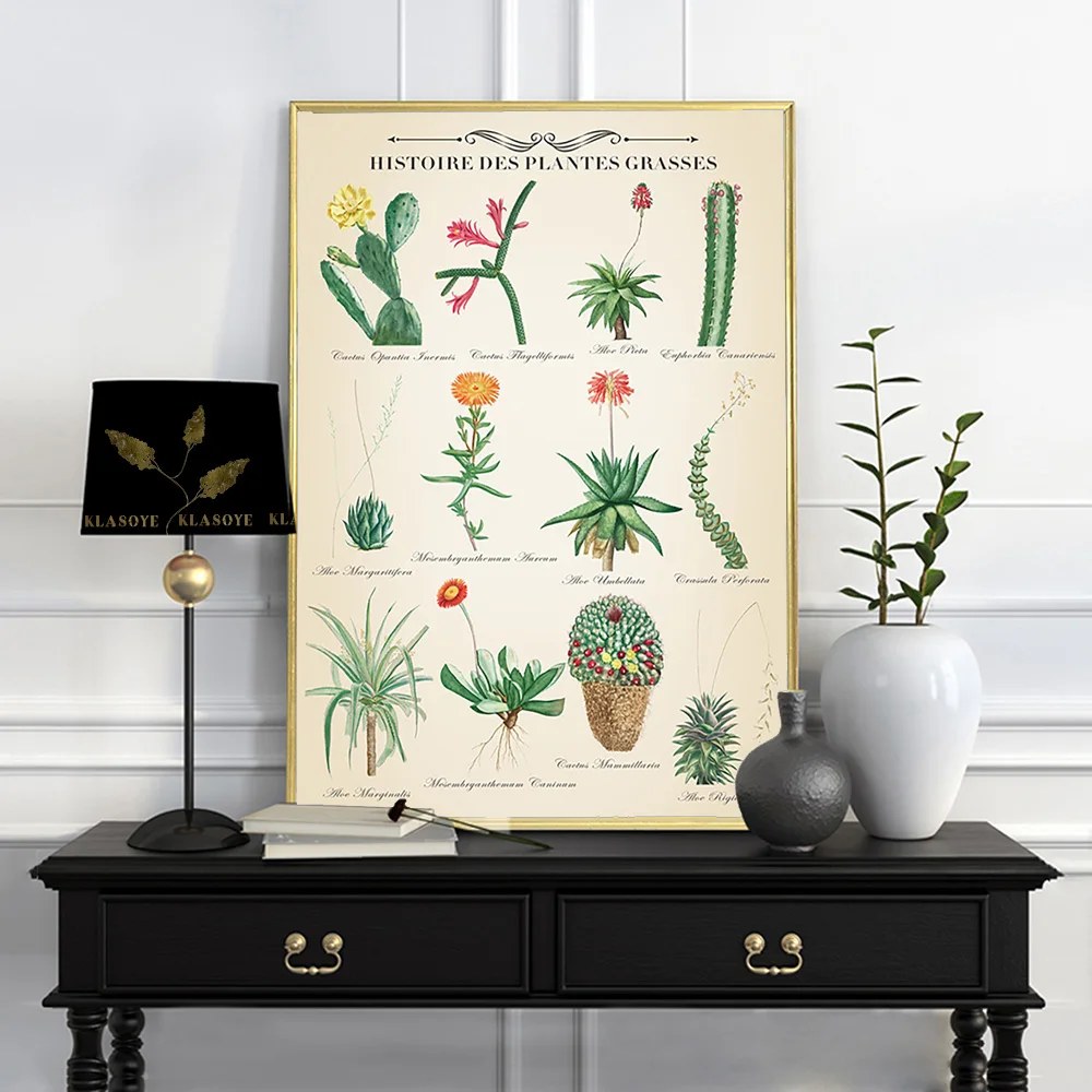 Augustin Pyramus De Candolle Poster Wild Plant Botanical Flower Print Wall Picture Canvas Painting Study Room Bedroom Home Decor