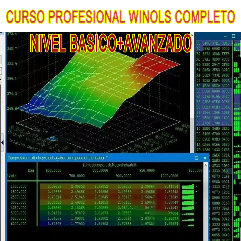 CURSO PROFESIONAL WINOLS COMPLETO (NIVEL BASICO AVANZADO) Curso De Uso De Winols Para Chiptuning materiał Demo Y