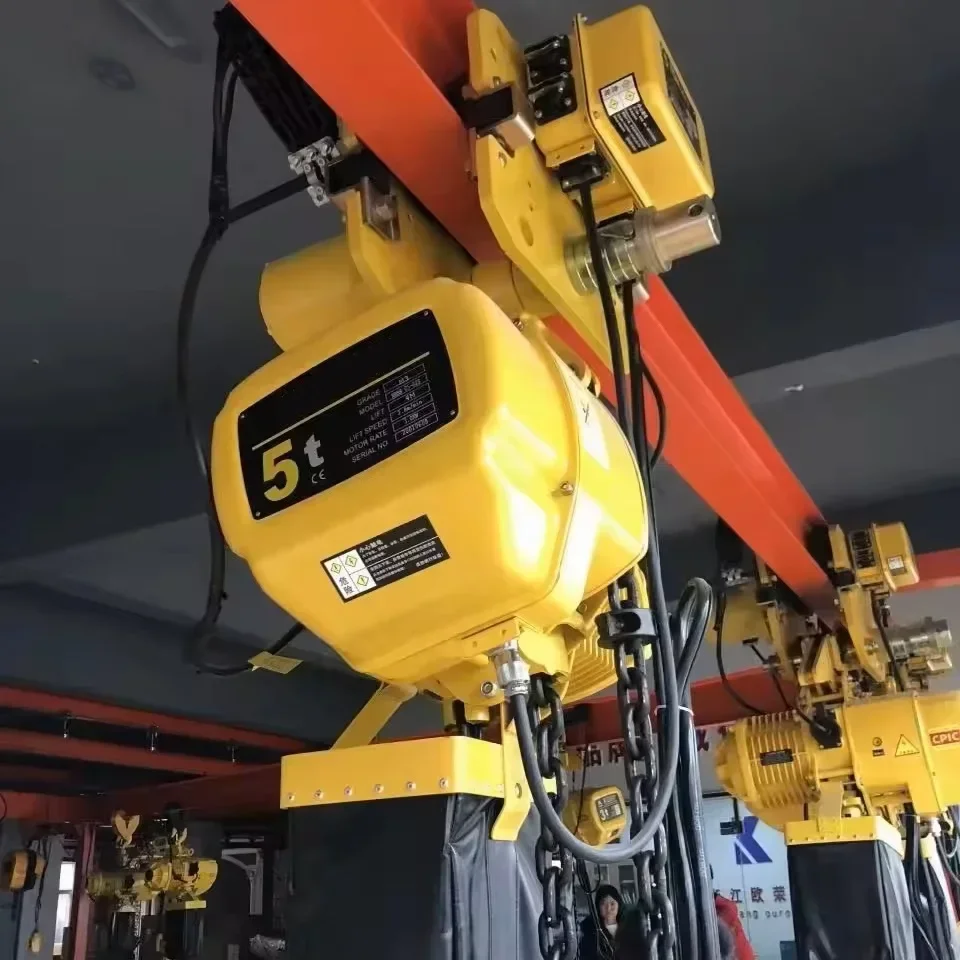 

-5 10 16ton Customized Of Chain Hoist Miniature Electric Chain Hoist Of 6 Meters Single-phase Electric
